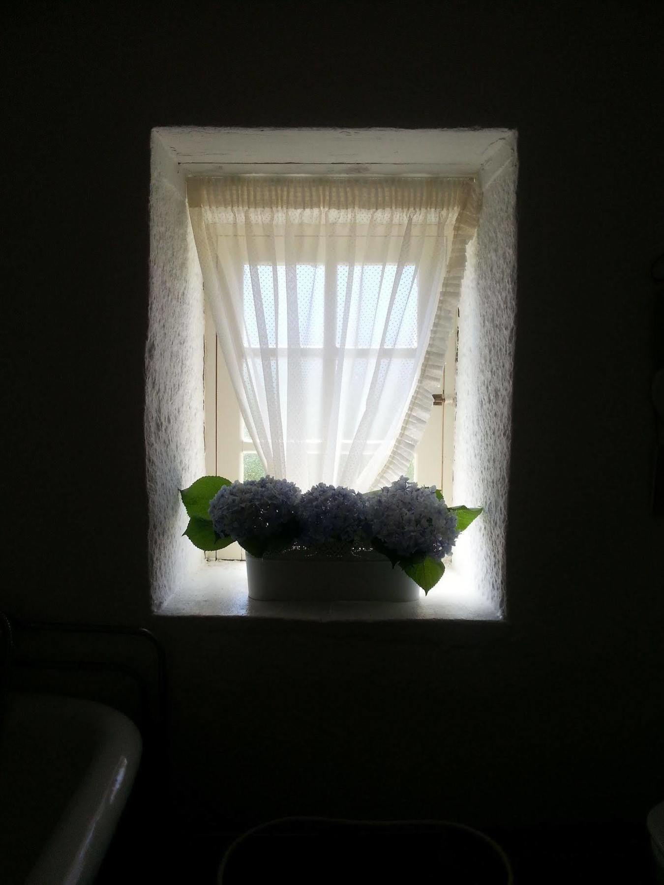 O Ze Ja Dormiu Aqui Villa Celeiros Exterior foto