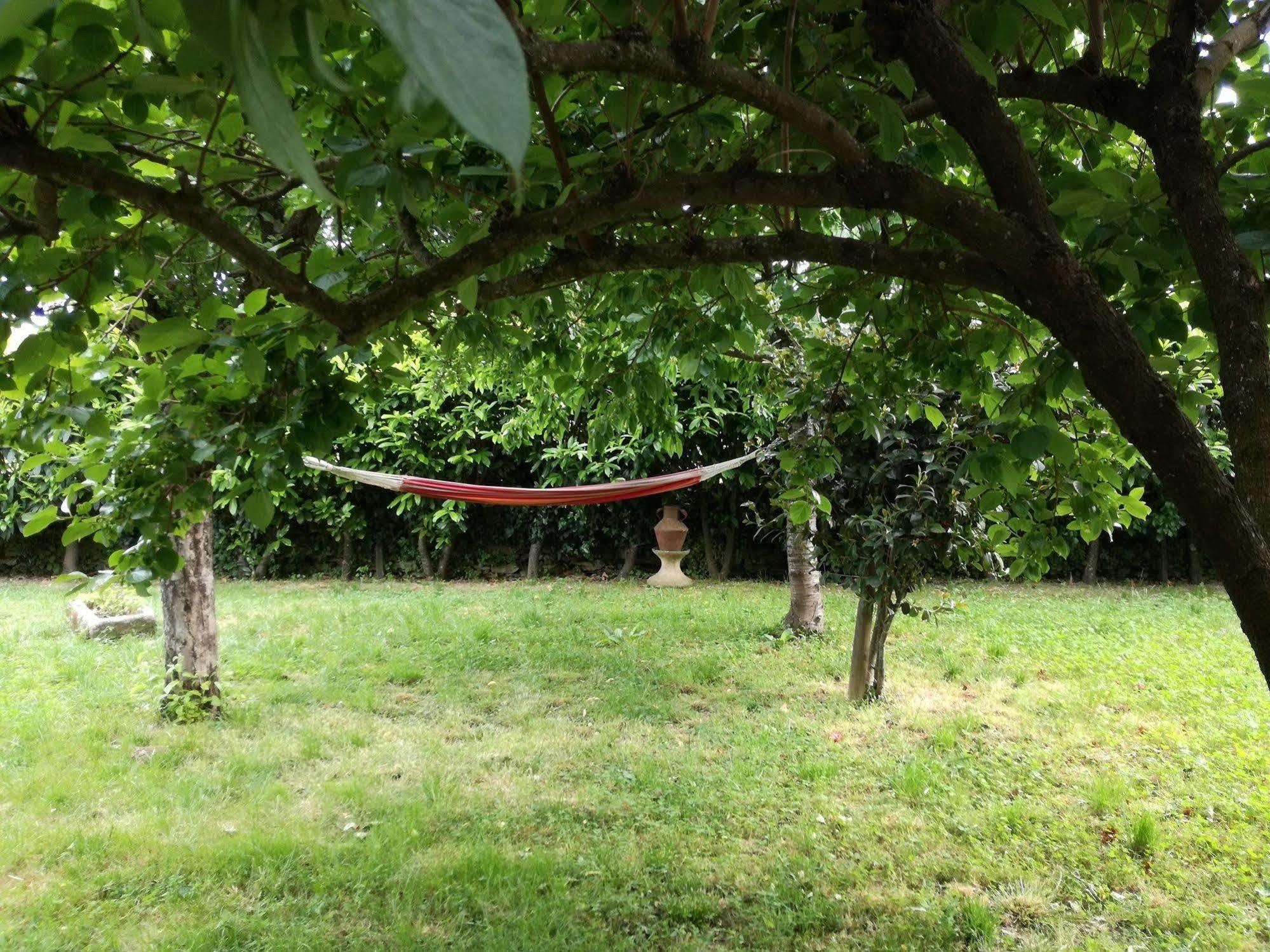 O Ze Ja Dormiu Aqui Villa Celeiros Exterior foto