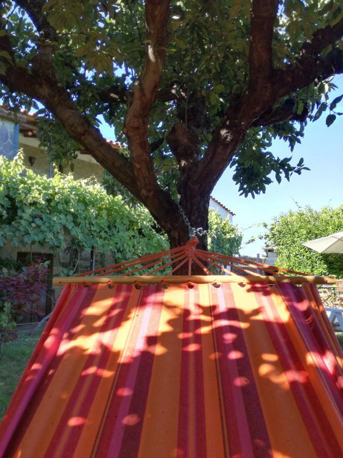 O Ze Ja Dormiu Aqui Villa Celeiros Exterior foto