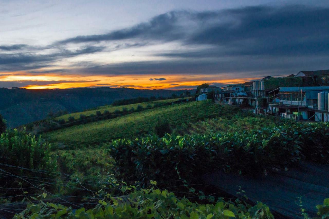 O Ze Ja Dormiu Aqui Villa Celeiros Exterior foto